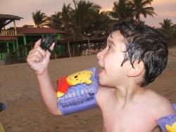 Las tortugas necesitan muchos Héroes