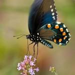 Siempre existe un motivo para estar FELIZ